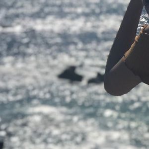 Meet your Posher, Karina